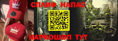 кокс Донской