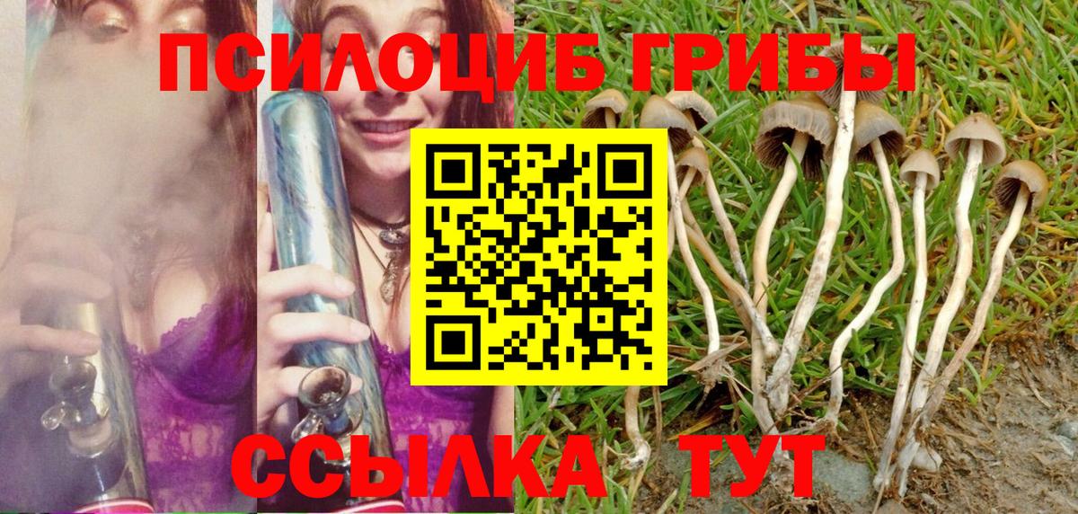 Дятьково  Галлюциногенные грибы MAGIC MUSHROOMS  Псилоцибиновые грибы Cubensis  Вход с VPN 